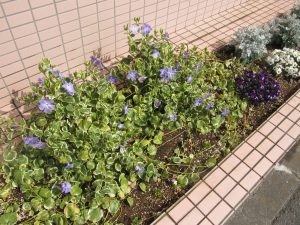 img_0364